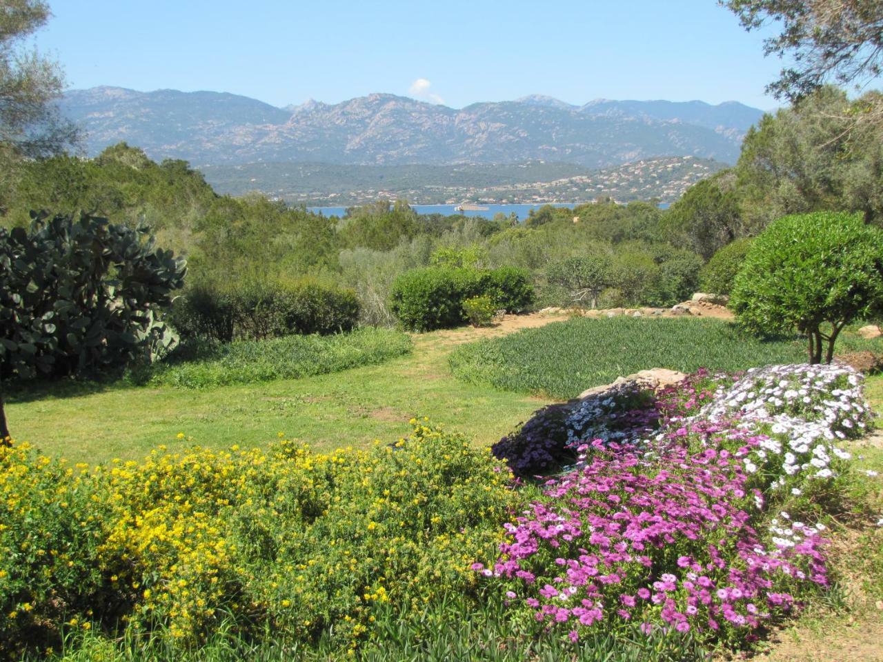 Appartement Résidence Mari Di Porto-Vecchio (Corsica)